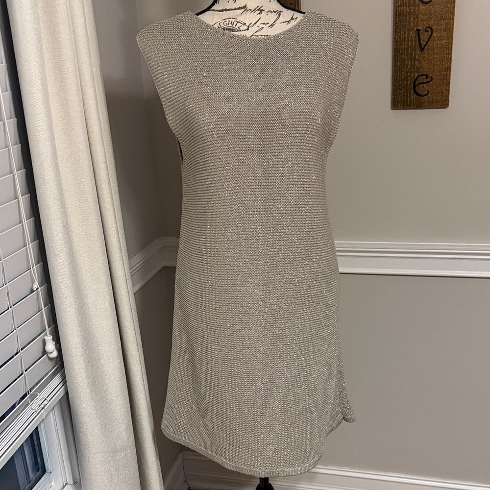 Zara Silver Sleeveless Mini Dress
